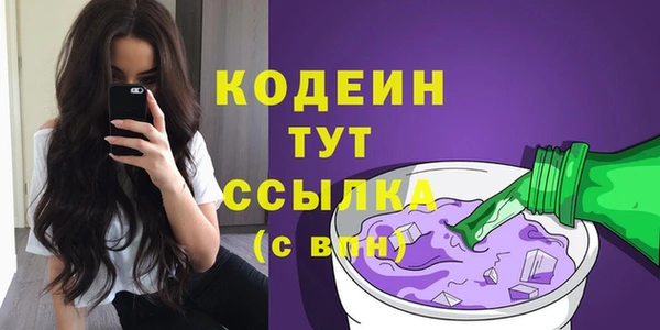 мдпв Тында